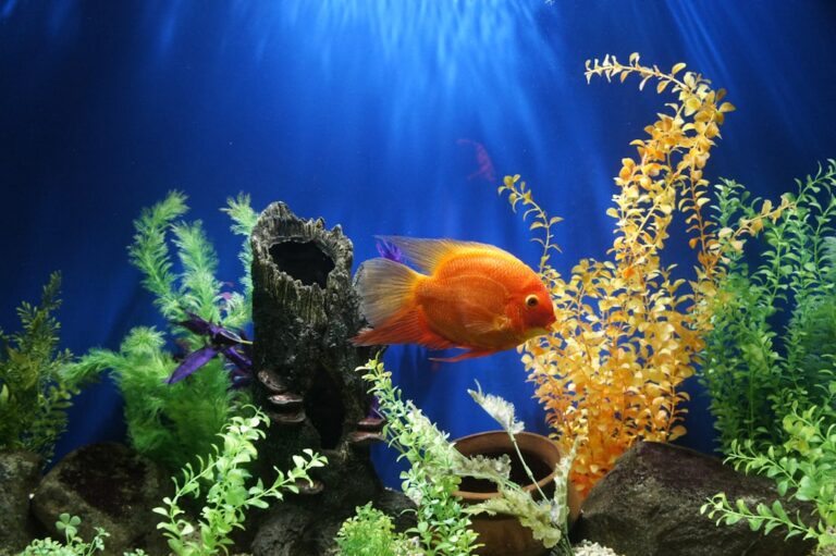how often should you change aquarium water