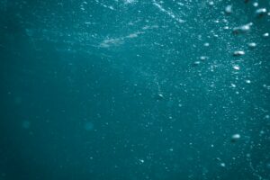 Air Pumps, Sponge Filters, and Venturi Aeration: Dissolved Oxygen Dynamics and Surface Gas Exchange in Tropical Tanks
