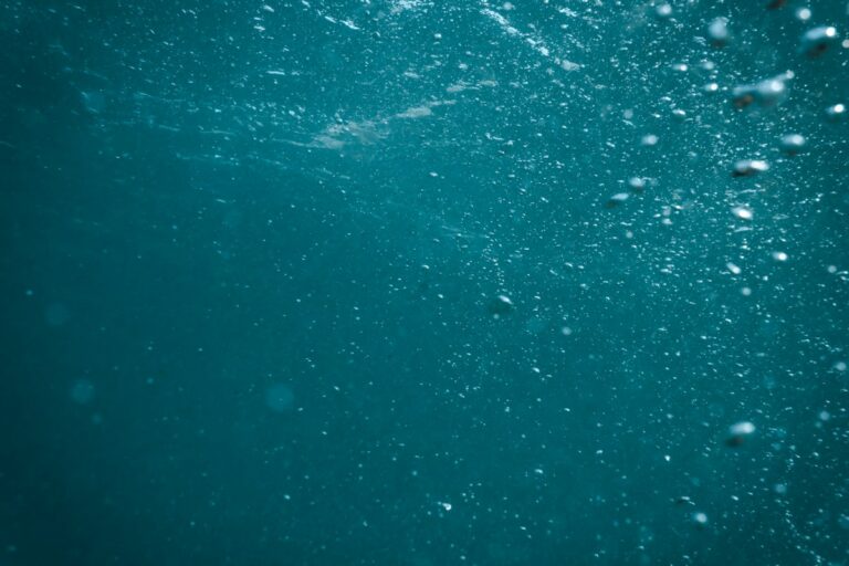 Air Pumps, Sponge Filters, and Venturi Aeration: Dissolved Oxygen Dynamics and Surface Gas Exchange in Tropical Tanks