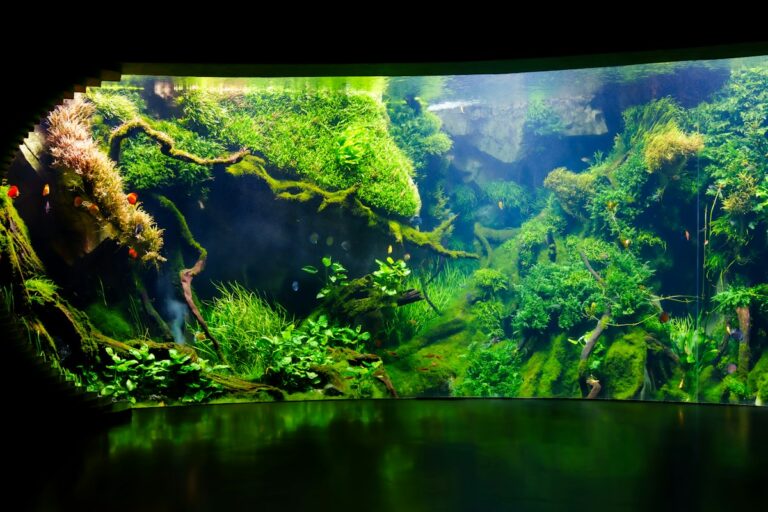 Ryuboku Driftwood Aquascaping Architecture: Branch Layout Dynamics, Shadow Play, and Epiphytic Moss Attachment