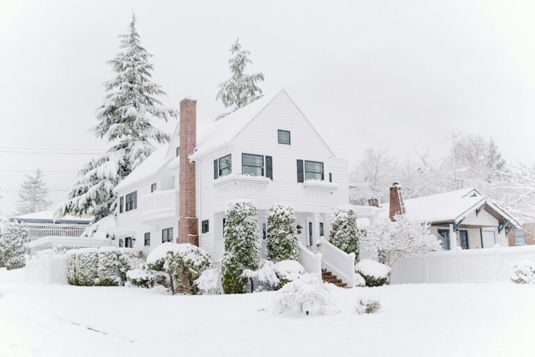 Winter Aquarium Heating and Power Outage Emergency Preparedness: Battery Aeration, Thermal Insulation, and Resiliency Planning
